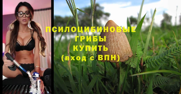 гашик Абдулино
