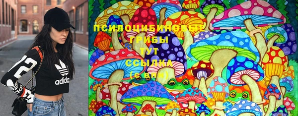 гашик Абдулино