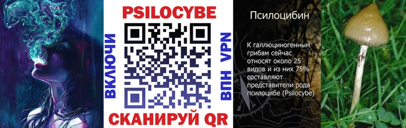 дарнет шоп  Тетюши  маркетплейс какой сайт  Галлюциногенные грибы Psilocybe 